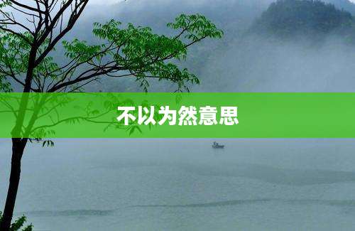不以为然意思