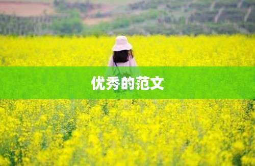 优秀的范文