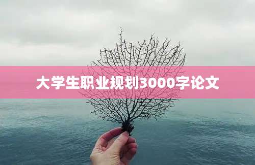 大学生职业规划3000字论文