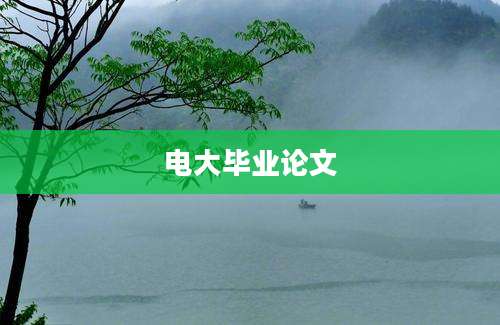 电大毕业论文
