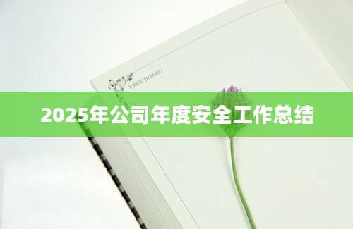 2025年公司年度安全工作总结