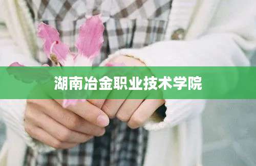 湖南冶金职业技术学院