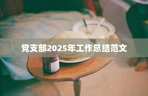 党支部2025年工作总结范文