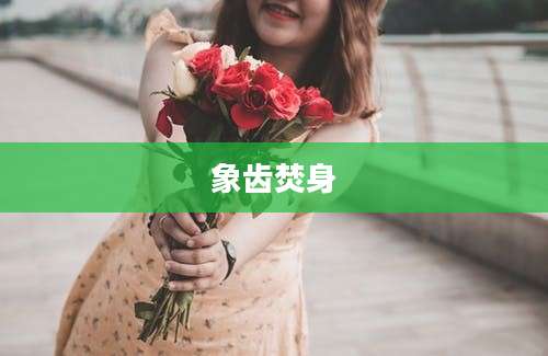 象齿焚身