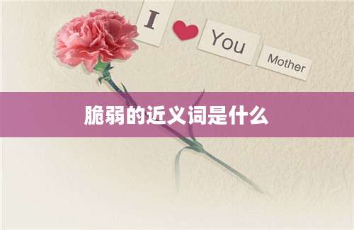 脆弱的近义词是什么