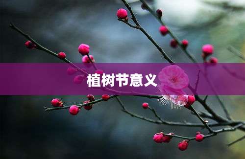 植树节意义