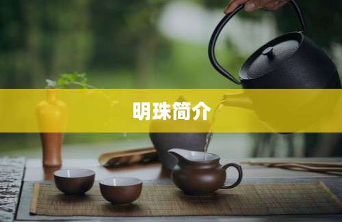 明珠简介
