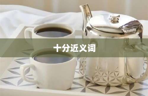 十分近义词