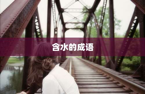 含水的成语