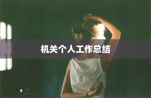 机关个人工作总结