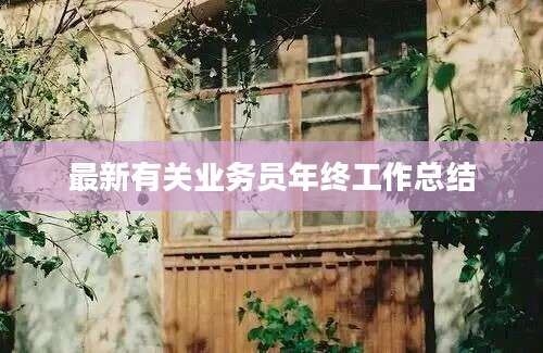 最新有关业务员年终工作总结