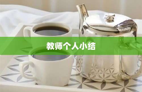 教师个人小结