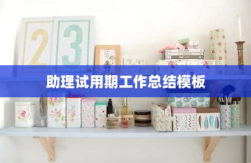 助理试用期工作总结模板