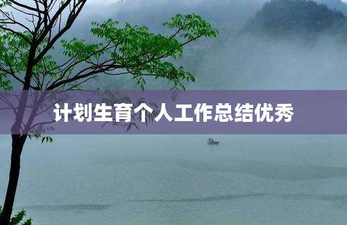 计划生育个人工作总结优秀
