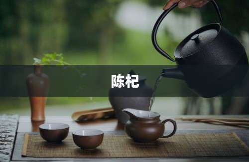 陈杞