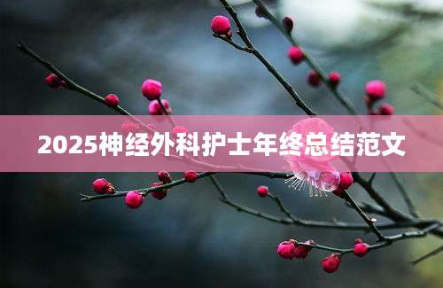 2025神经外科护士年终总结范文