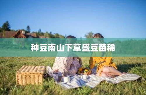 种豆南山下草盛豆苗稀