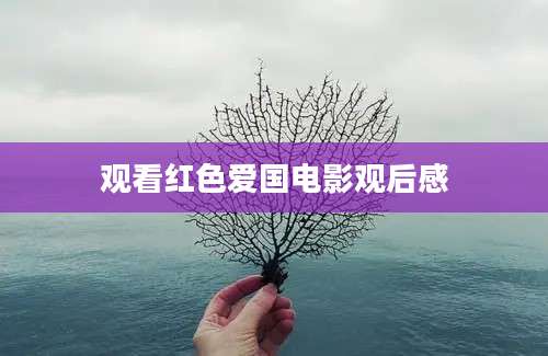 观看红色爱国电影观后感