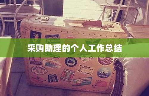 采购助理的个人工作总结