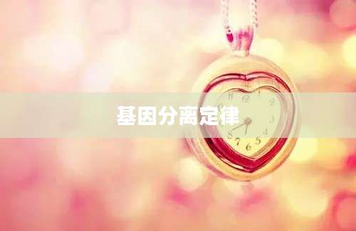 基因分离定律