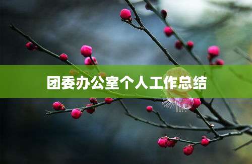 团委办公室个人工作总结