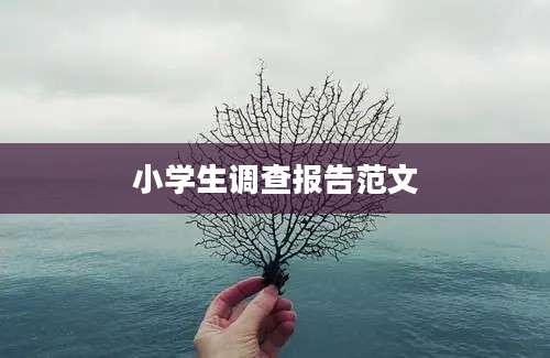 小学生调查报告范文