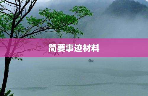 简要事迹材料