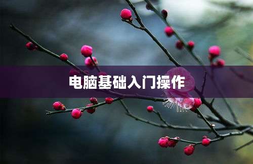 电脑基础入门操作