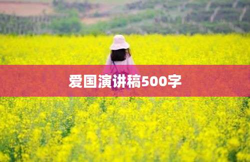 爱国演讲稿500字