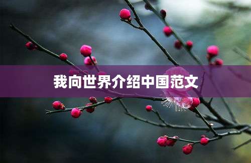 我向世界介绍中国范文