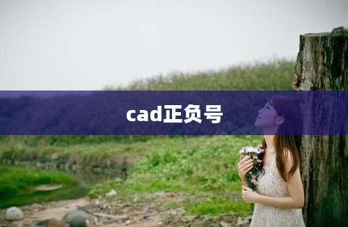 cad正负号