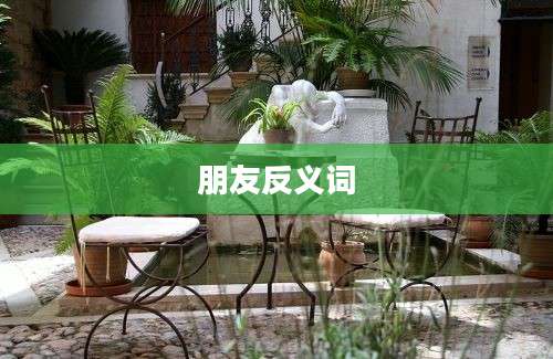 朋友反义词