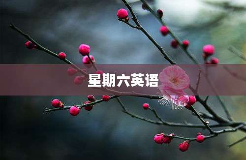 星期六英语