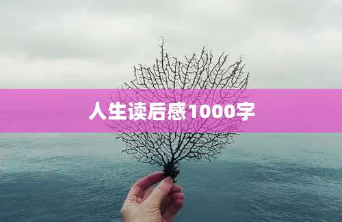 人生读后感1000字