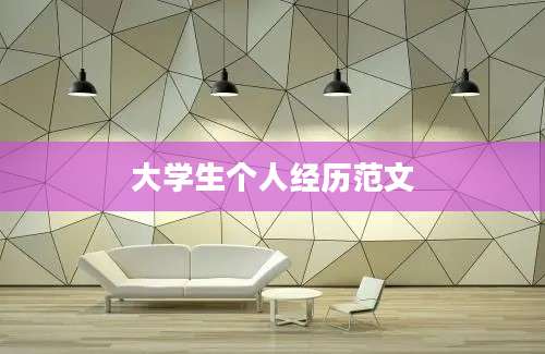 大学生个人经历范文