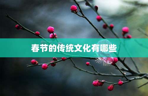 春节的传统文化有哪些