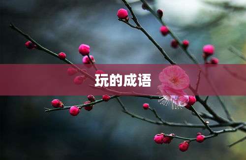 玩的成语