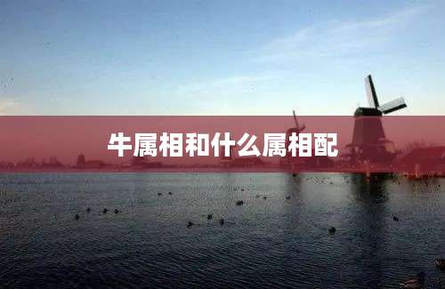 牛属相和什么属相配