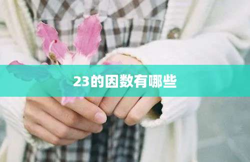 23的因数有哪些