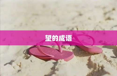 望的成语