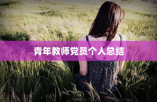 青年教师党员个人总结