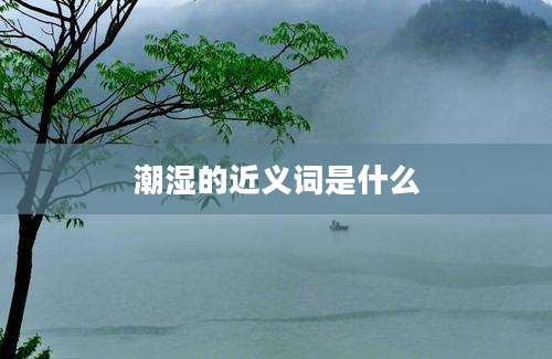 潮湿的近义词是什么