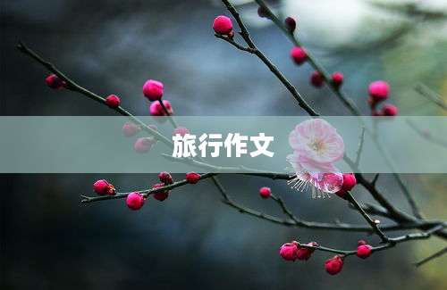 旅行作文