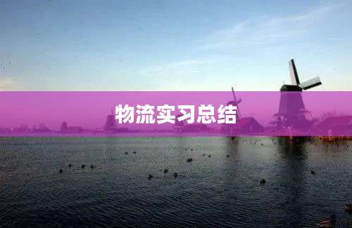 物流实习总结