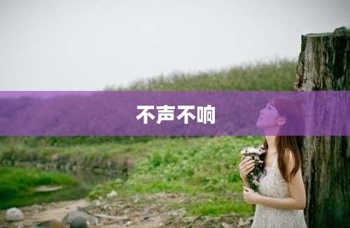 不声不响