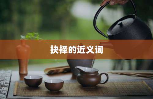 抉择的近义词