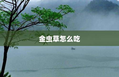 金虫草怎么吃
