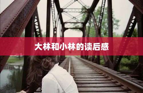 大林和小林的读后感
