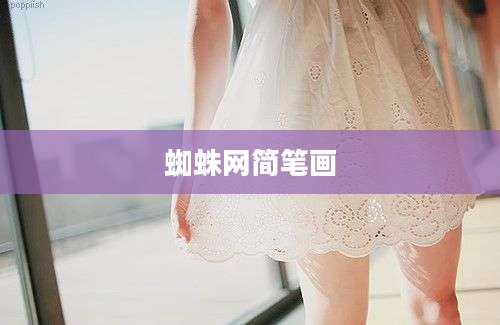 蜘蛛网简笔画