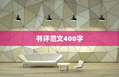 书评范文400字